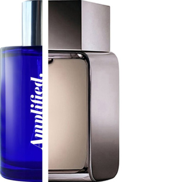 CALVIN KLEIN – Euphoria Men IMPRESSION | Amplified