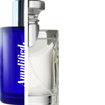 BVLGARI – Bvlgari Pour Homme IMPRESSION | Amplified
