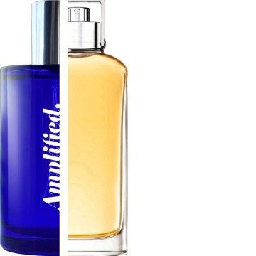 DAVIDOFF – Horizon IMPRESSION | Amplified