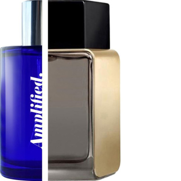 CALVIN KLEIN – Euphoria Gold 4 Men IMPRESSION | Amplified