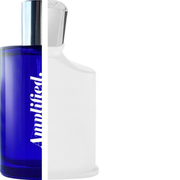 CREED – Silver Mountain Water IMPRESSION | Amplified