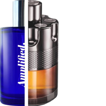 AZZARO – Wanted By Night IMPRESSION | Amplified
